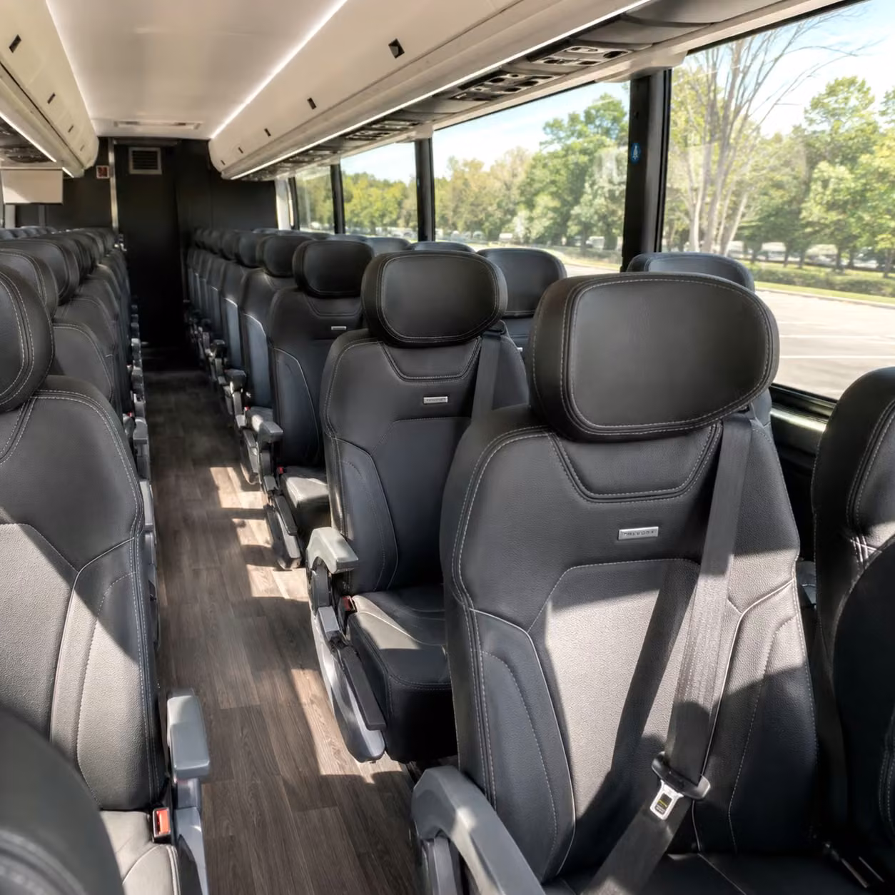 charter bus trips from stamford to madison square garden and new york city venues